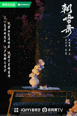 朝雪录 (2025)
